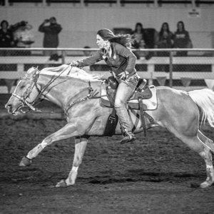 Meet your Posher, Cheyenne